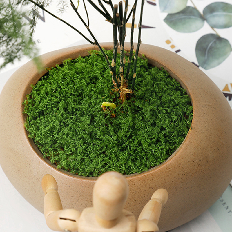 about 20g Artificial Green Pla - Baby Nursery Ornaments avaliação e preço